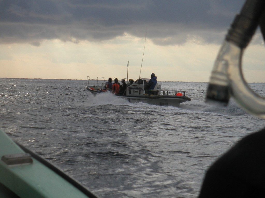 img0008.jpg