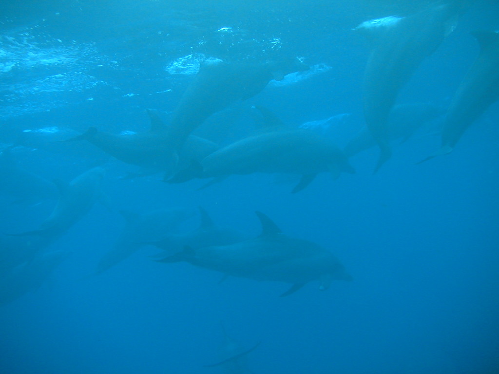 img0018.jpg