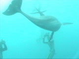movie02.wmv