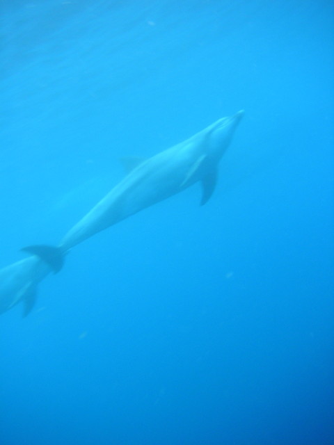 img0006.jpg