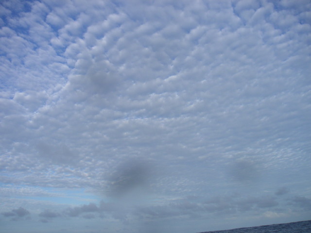 img0020.jpg