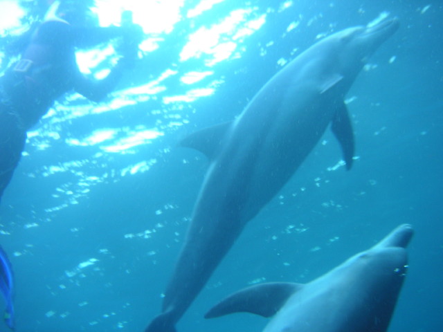 img0019.jpg
