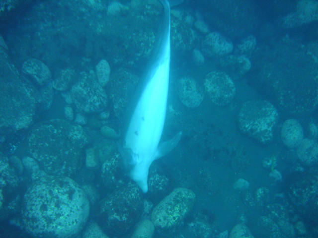img0049.jpg