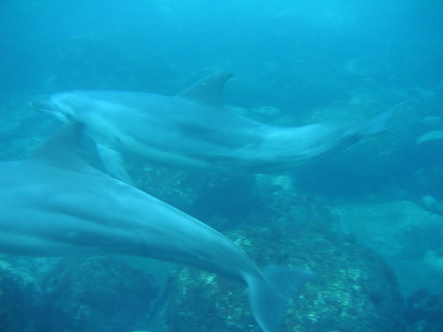 img0064.jpg