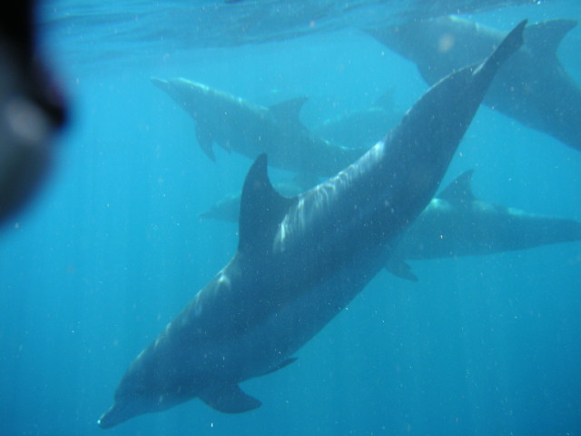 img0071.jpg