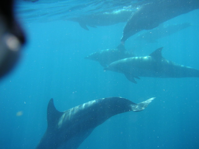 img0072.jpg