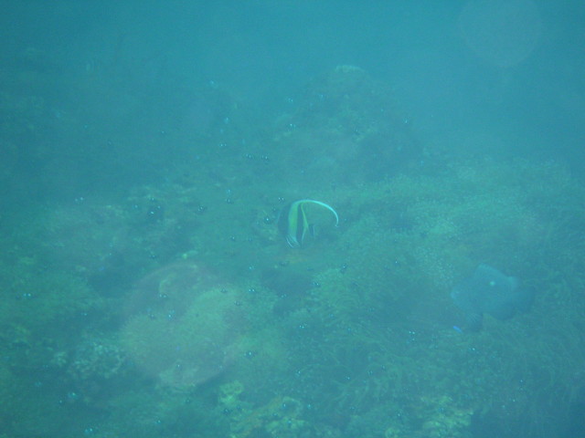 img0133.jpg