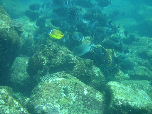 img0148.jpg